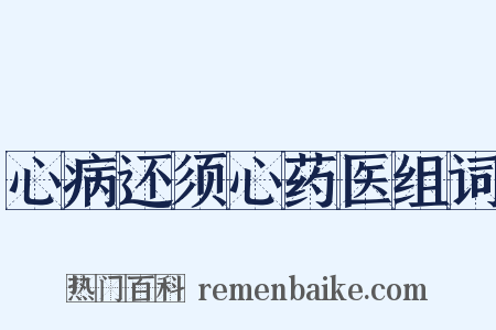 心病还须心药医组词是什么意思的图片